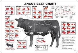 Beef University