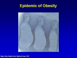 The individual will also be expected to support other health plan functions such as compliance, utilization management, finance, vendor management, claims, and appeals. Obesity An Expanding Epidemic 23 Usa Adults And