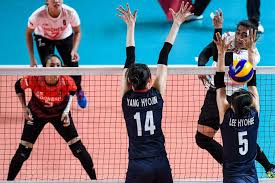 Ukuran lapangan bola voli yang benar berstandar nasional dan internasional. Ukuran Lapangan Voli Sesuai Standar Internasional Dan Nasional