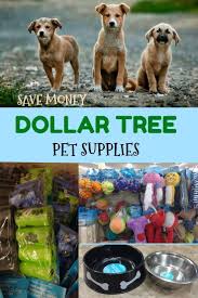 Dog Supplies At The Dollar Tree Save Money On Dog Supplies Dog Supplies List Pets Positive Dog Training