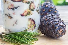 Zirbenzucker Zirbenhonig Und Zirbensirup Naturprodukte Zum Selbermachen Backstube Rezept Zirbenschnaps Sirup Zirben