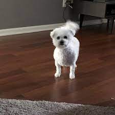 Who will take care of your pet when you are away? Companion Care Pet Hospital 10 Photos 19 Reviews Pet Sitting 4932 W State Rd 46 Sanford Fl Phone Number Yelp