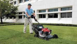 Start with the blue bottle and the blue bag. Honda Lawn Mowers Self Propelled Push Lawn Mowers For Sale Honda Power Equipment Canada