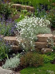18 Beautiful Plants That Will Thrive In Rock Gardens Rock Garden Plants Sloped Garden Rock Garden
