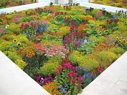 photo log hamilton taupo wellington sacred garden indian garden garden history