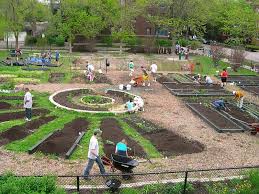 Community Garden Design Google Search Community Gardening School Garden Tropical Garden
