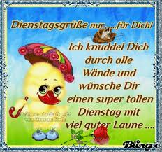 Auf diese weise gewöhnen sich die leute an die neue woche, seit der montag vergangen ist und sie wieder in ihrem zeitplan sind. Dienstagsgrusse
