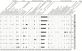 Image result for Swertia usambarensis