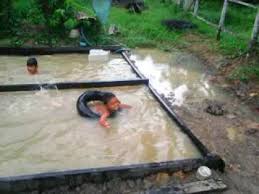 Gutter adalah salah satu bagian dari kolam renang overflow. Lihat Hasilnya Cara Membuat Kolam Renang Sederhana Utk Anak Anak Kita Youtube