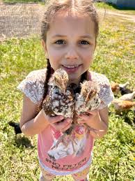 About 3 weeks old now. 🐣❤️🐓