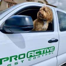Our pest control technicians are expertly trained and certified. Pro Active Pest Control 22 Photos 67 Reviews Pest Control 3300 Monier Cir Rancho Cordova Ca United States Phone Number