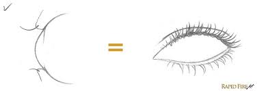 The eyelashes of the top eyelid can be suggested with dark marks along the eyelid contour, emphasizing that they are there; How To Draw Eyelashes Rapidfireart