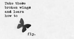 Blackbird Singing In The Dead Of Night Lyrics Blackbird Singing In The Dead Of Night 3 Butterfly Quotes Great Song Lyrics Cool Words