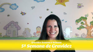 5ª Semana De Gravidez Youtube