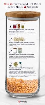 Are there pantry moths in your kitchen? How To Get Rid Of Pantry Moths With Natural Remedies Diy Food Recipes Pantry Moths Food Packaging
