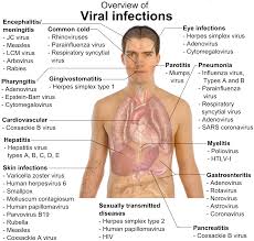 Infection And Incubation Period Meaning Healthhype Com Infectious Viral Infections Medical Knowledge Medical Education Nursing Tips