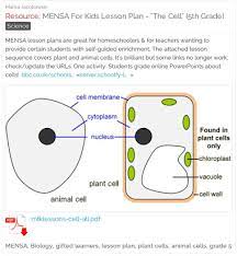 Check spelling or type a new query. Plant And Animal Cell Lesson Plan