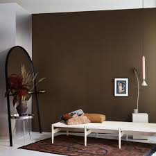 Farbe Schlamm Wandfarbe Braun Wandfarbe Wohnen