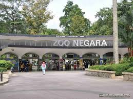Maybe you would like to learn more about one of these? Zoo Negara Kuala Lumpur Backpacking Malaysia