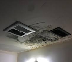 Black Mold On Ceiling Of Residence Servpro Offer Mold Remediation Call Us Today If You Notice Mold In Your Home Or B Molding Mold Remover Commercial Property