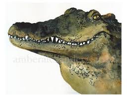 Looker Alligator Art Alligator Watercolor In 2021 Alligators Art Pop Illustration Original Watercolor Painting