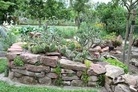 Du darfst keine neuen themen in diesem forum erstellen. Niedrige Trockenmauer Und Ihr Fundament Mein Schoner Garten Forum Natursteine Garten Garten Pflanzen Garten