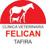Clinica Veterinaria Felicán Tafira from www.paginasamarillas.es