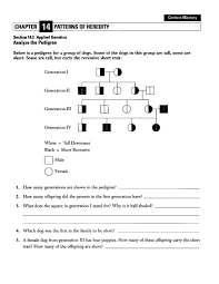 Answer by giving individual chromosome numbers. Pedigree Practice Human Genetics Disorders Worksheet Answer Key