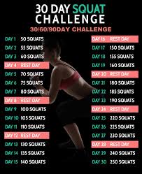 30 Day Squat Challenge 306090 D