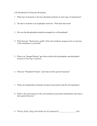 Gellitin like fluid that flies inside the cell membrane function: Membrane Structure And Function Worksheet Worksheet List