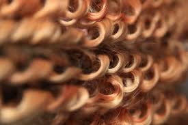Your animal curly hair stock images are ready. Hair Curls Strand Blond Background Perms Hairstyle Close Up Piqsels
