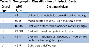For surgical treatment of cyst hydatid patients with spontaneous rupture into intrahepatic bile duct, the removal. Hydatid Cyst Of Liver Presented As Obstructive Jaundice In Pregnancy Managed By Pair Semantic Scholar