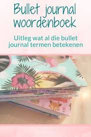 Pin Op Bullet Journal