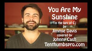 Meets the highest grading standards for strength and appearance. You Are My Sunshine Easy Beginner Ukulele Song How To Play Ukulele Great First Song Tutorial Youtube