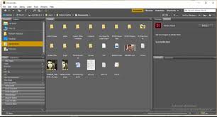 Google photos is a photo organizer software that automatically creates backup copies of your image folders. 10 Free Photo Organizers For Windows 10
