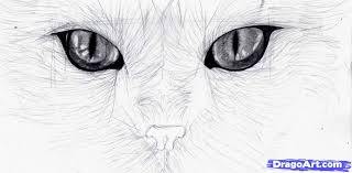 When done well, they tend to draw the eye and keep the onlooker hypnotized. Drawing Step By Step Realistic Cat Eye Drawing