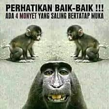  160 Smplive Ideas Me Too Meme Bones Funny Skater Vibes