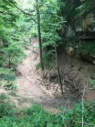 part of the cedar sink hole picture