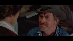 ジュニア・ボナー／華麗なる挑戦