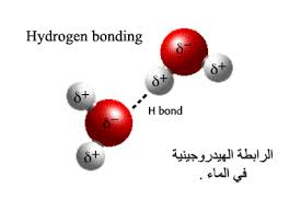 Chemistryplanet Licensed For Non Commercial Use Only الرابطة الهيدروجينية