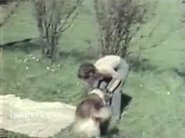 Belle salope dans une scène zoophile avec son labrador. Https Luxuretv Com Videos Fantaisie Et Gorge Profonde Avec Cette Amatrice De 18 Ans 66269 Html Https Thumb Luxuretv Com Thumbs 5 B 4 6 A 5b45fc9ba3bd4swallows 128 Mp4 5b45fc9ba3bd4swallows 128 Mp4 6b Jpg Fantaisie Et Gorge Profonde Avec