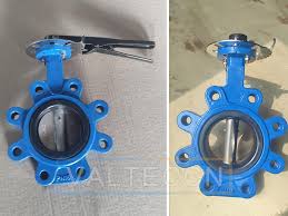 DN80 Ductile Iron Lug Type Butterfly Valve Sample | VALTECCN