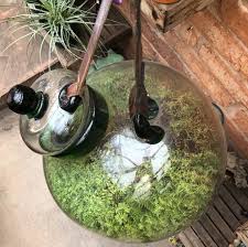 See more ideas about plant decor, hanging plants, plants. 10 Plants Wall Decor Ideas For Your Home My Tasteful Space