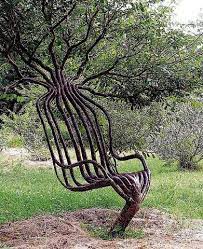 Weird And Wonderful Trees Tree Chair Cool Tree Houses Weird Trees