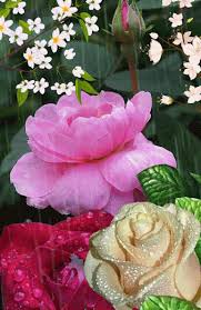 This includes huge collection of jumma mubarak status for whatsapp. Flowers Winter Gif By Majed Bazadough