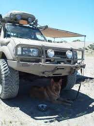 Post Pics Of Your Dog S With Your 80 Land Cruiser Toyota Land Cruiser 100 Overland Truck