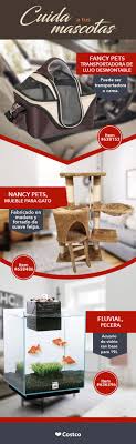 Accesorios Para Tus Mascotas Soloencostco Mascotas Pinterest