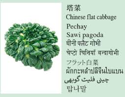 Kale is a cabbage relative that is classified as brassica oleracea. Leafty Vegetable