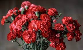Maybe you would like to learn more about one of these? Spiritual Meaning Of Smelling Flowers