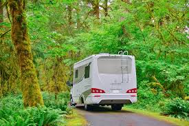 These risk guys play poker while traveling and in one night they can win enough to finance a few months of their travel. Baby Boomer Retirement Camper And Rv Travel Jobs How To Survive Financially On The Road